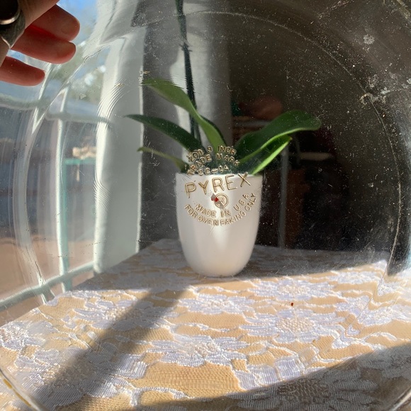 Pyrex plates - Picture 11 of 13